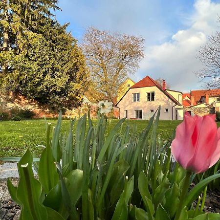 Apartamento Om Yoga Center Slovenska Bistrica Exterior foto