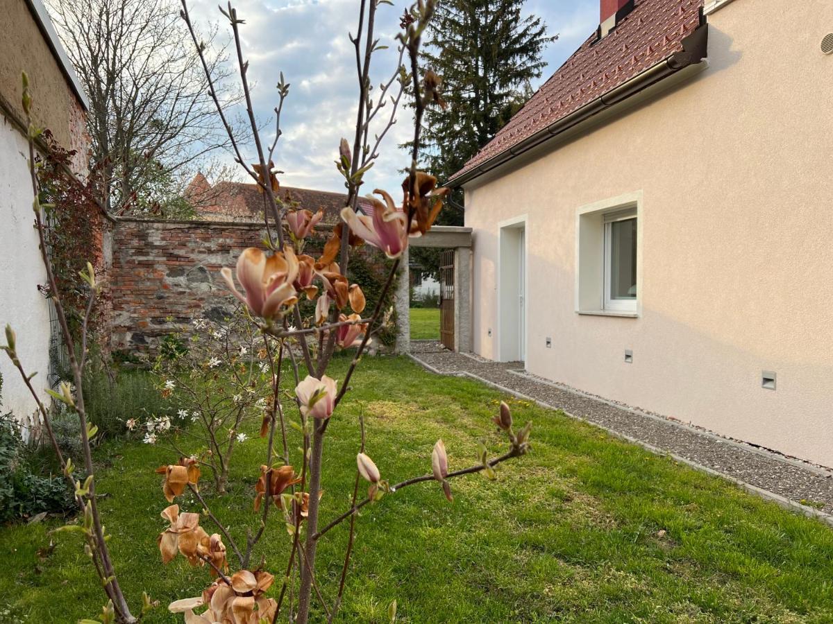 Apartamento Om Yoga Center Slovenska Bistrica Exterior foto