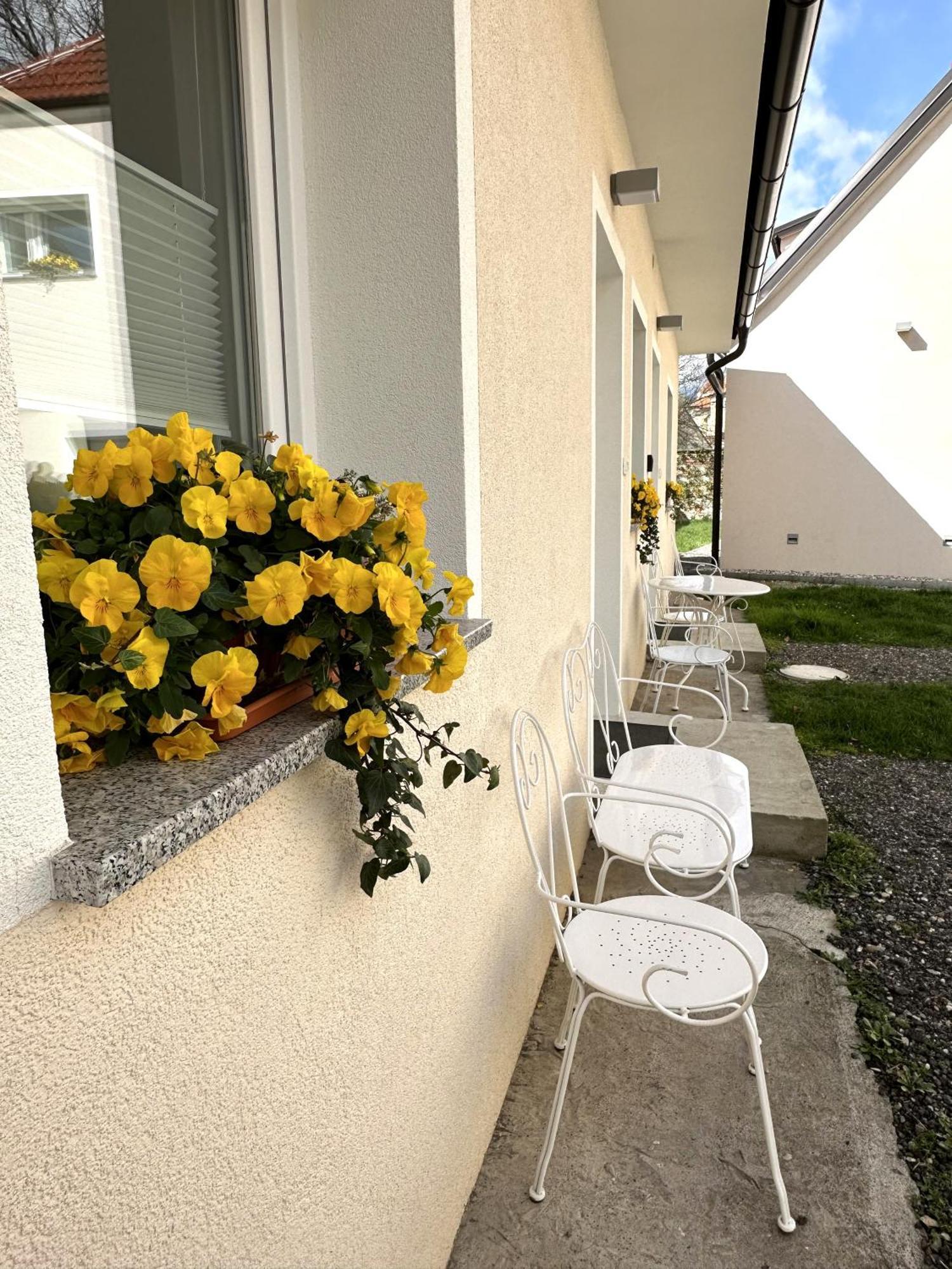 Apartamento Om Yoga Center Slovenska Bistrica Exterior foto